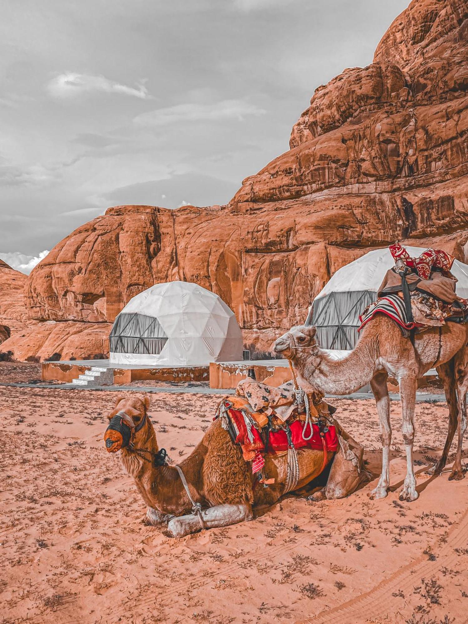 Scarlet Luxury Camp Ram Vadisi Dış mekan fotoğraf